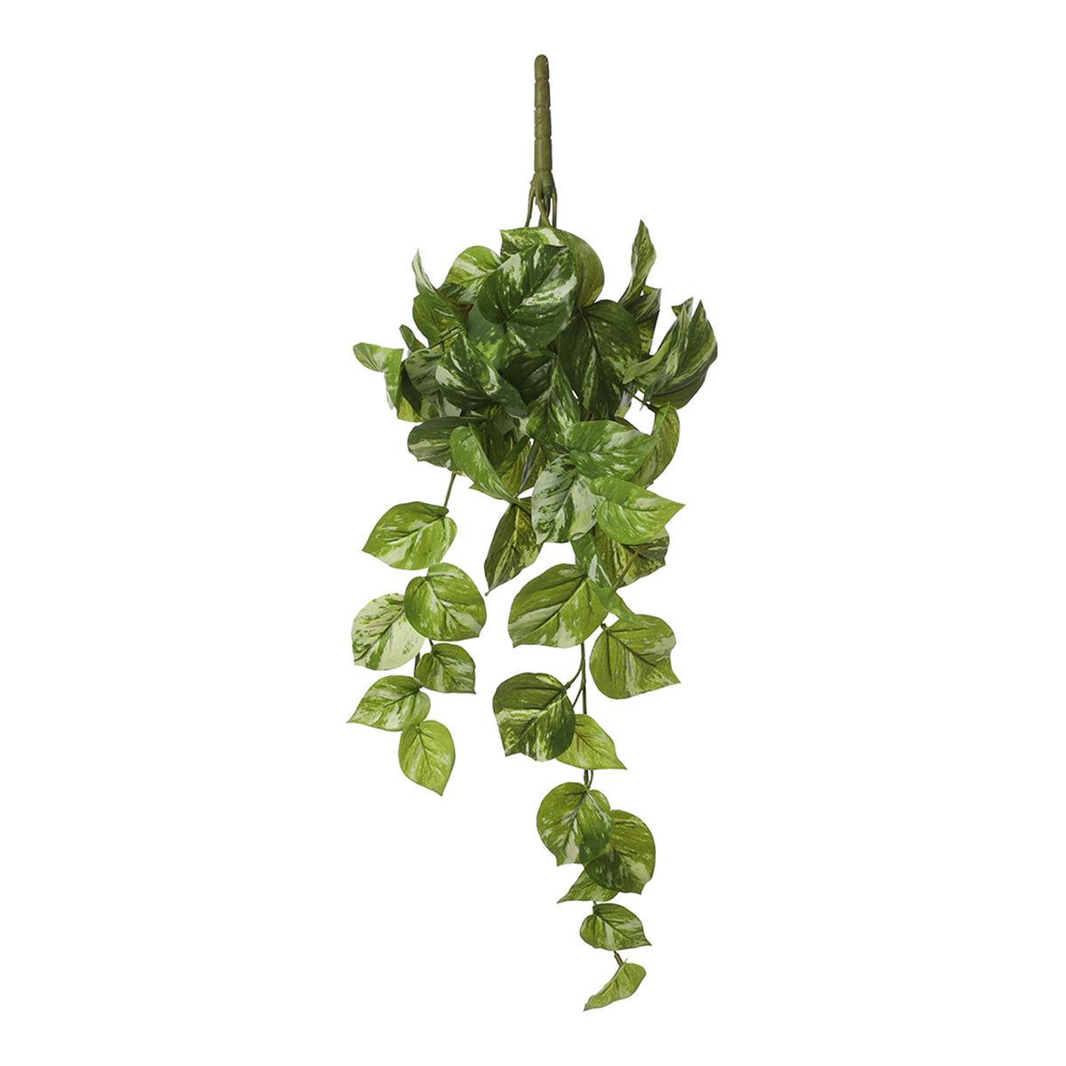 Dekorativ Plante Mica Decorations Potos Halskæde - Halskæder  - 8718861722772